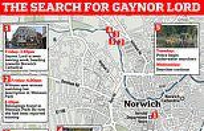 Police scour missing mother Gaynor Lord's phone for clues after discovering it ... trends now