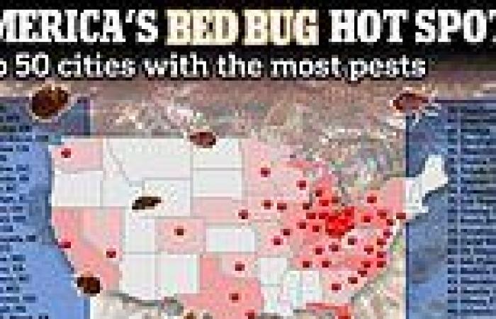 A NEW hard-to-kill species of bed bugs may explain why US and 50 other ... trends now