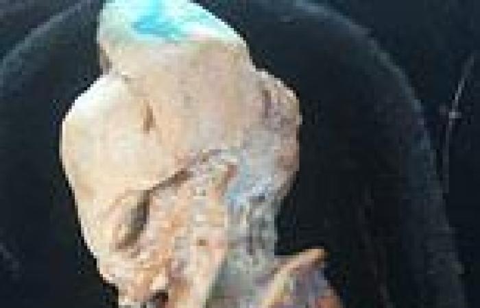 The truth behind the 'alien' in Colombia: As mysterious corpse is discovered, ... trends now