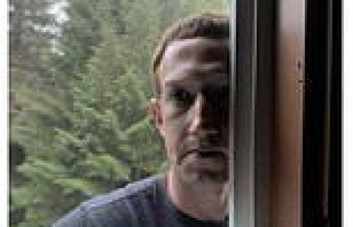 Zuckerberg's million dollar outage: Finance expert reveals Meta lost roughly ... trends now