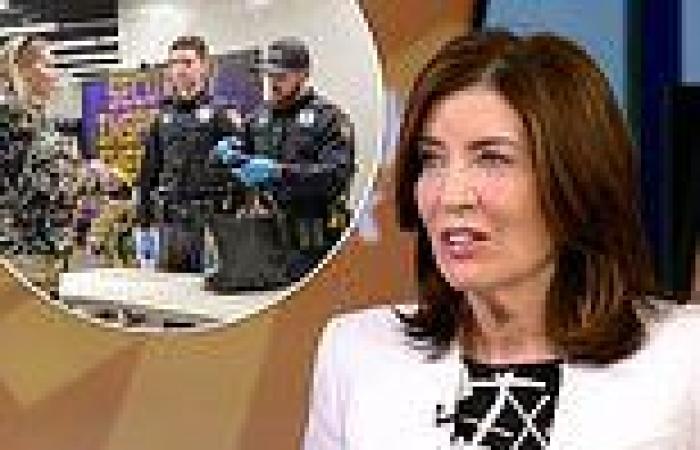 Stop and Frisk ramped up to 11: NY Gov Hochul says subway riders who refuse bag ... trends now