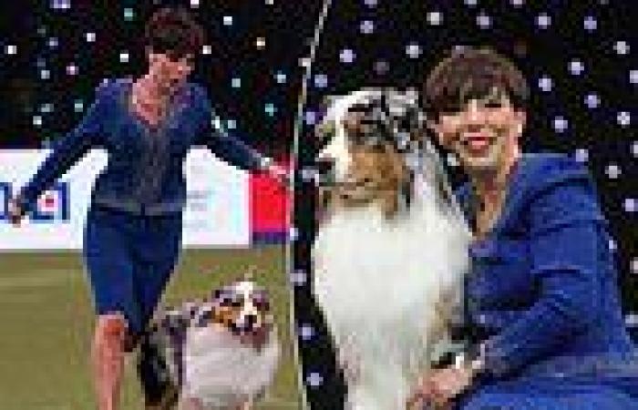 Crufts 2024: Best In Show awarded to three-year-old Viking, an Australian ... trends now