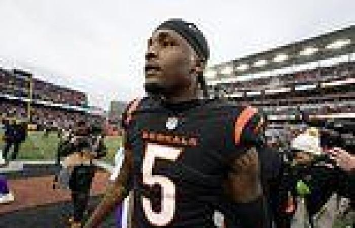 sport news Bengals franchise wide receiver Tee Higgins 'requests a trade' after being left ... trends now