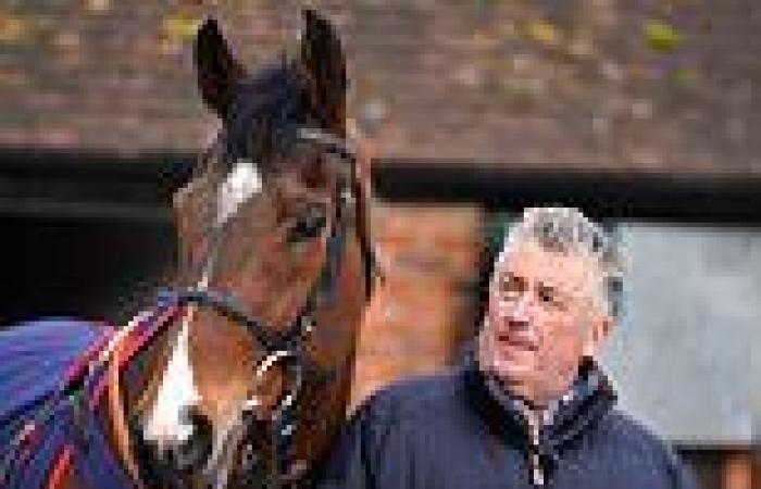 sport news Paul Nicholls shares his thoughts on Novices' Chase prospect Stay Away Fay and ... trends now