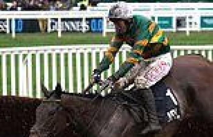 sport news Derek O'Connor caps memorable week at Cheltenham with second Festival win on ... trends now