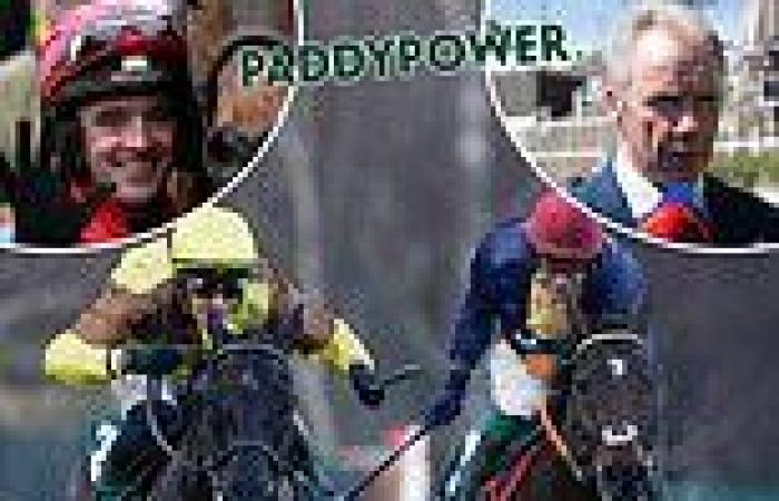 sport news PADDY POWER'S CHEAT SHEET FOR DAY FOUR: Ruby Walsh, Mick Fitzgerald, Nina ... trends now
