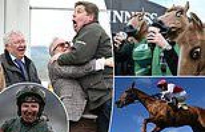 sport news SOUL OF SPORT: 280,000 people attended Cheltenham Festival last week with the ... trends now