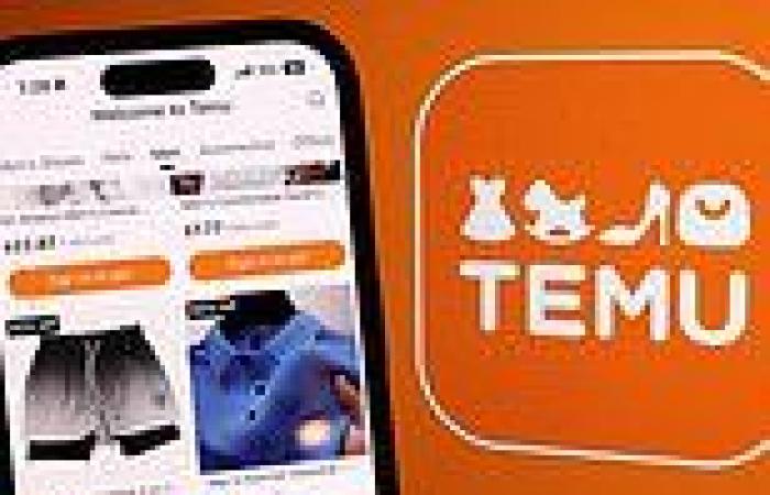 Temu online marketplace run in China that flooded X with 'free cash giveaway' ... trends now