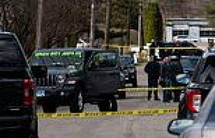 Four people dead and five others injured in northern Illinois stabbing: Suspect ... trends now