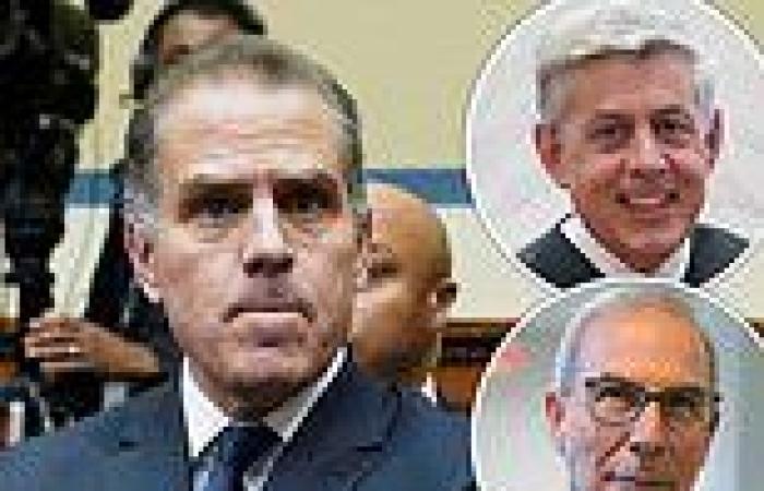 Hunter Biden's top lawyer Abbe Lowell tries to convince LA federal judge to ... trends now