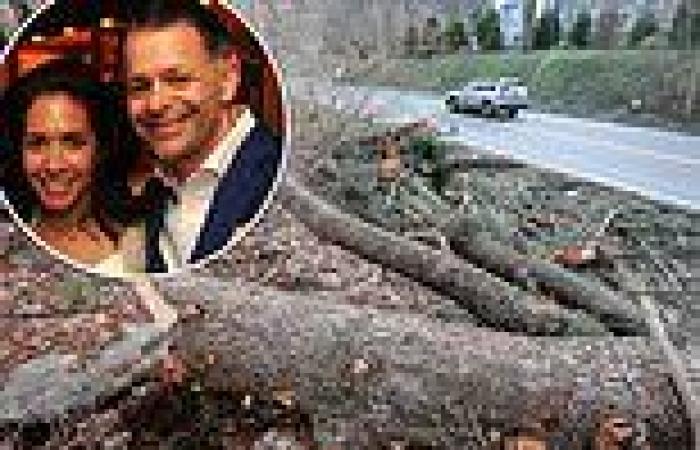 sport news Yankees exec's wife and mom-of-two, 50, is crushed to death by tree driving ... trends now
