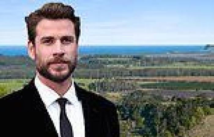 Inside Liam Hemsworth's '$20million plans to build mega mansion in Byron Bay ... trends now