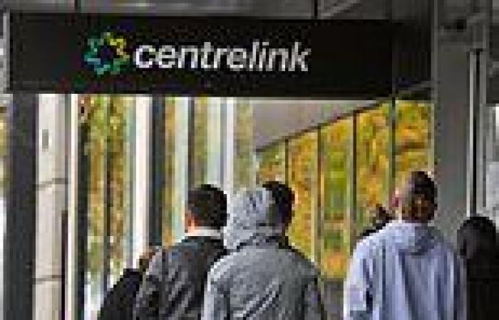 Report calls for Centrelink payments to rise - as welfare recipients struggle ... trends now