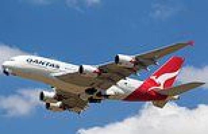 What Qantas' frequent flyer shake-up means for YOUR flight - as airline unveils ... trends now