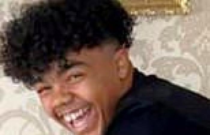 Pictured: Teenager Isaac Brown, 15, who was stabbed to death on West Bromwich ... trends now
