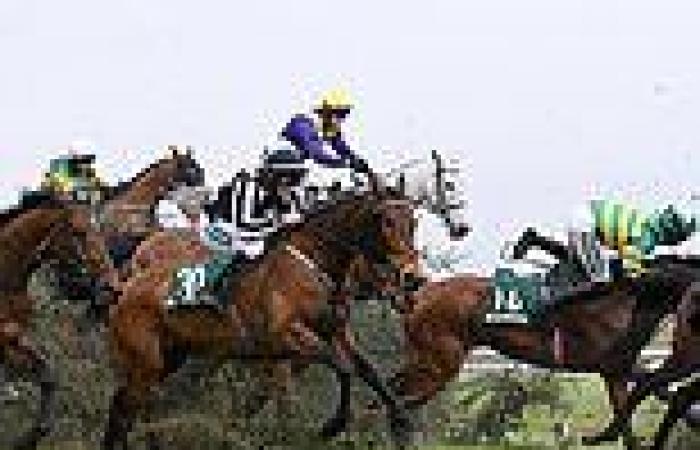 sport news The 2024 Grand National Explained: Date, time, how to follow, number of fences ... trends now