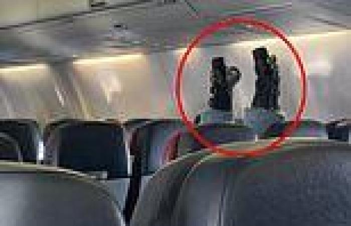 Virgin Australia: Why this bizarre photo of one  passenger getting VERY ... trends now