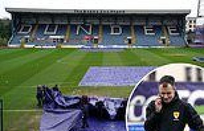 sport news STEPHEN MCGOWAN: Dundee pitch fiasco is the last thing Rangers need in the ... trends now