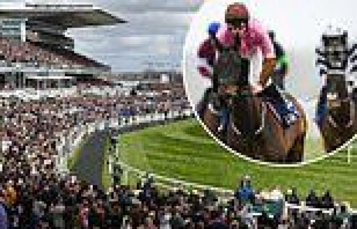 sport news Revealed: The startling number of English-trained horses set to compete in the ... trends now