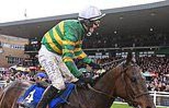 sport news GRAND NATIONAL COUNTDOWN: Willie Mullins bullish over eight-strong challenge in ... trends now