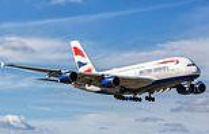 Furious British Airways passengers blast 'incompetent' airline as flights were ... trends now