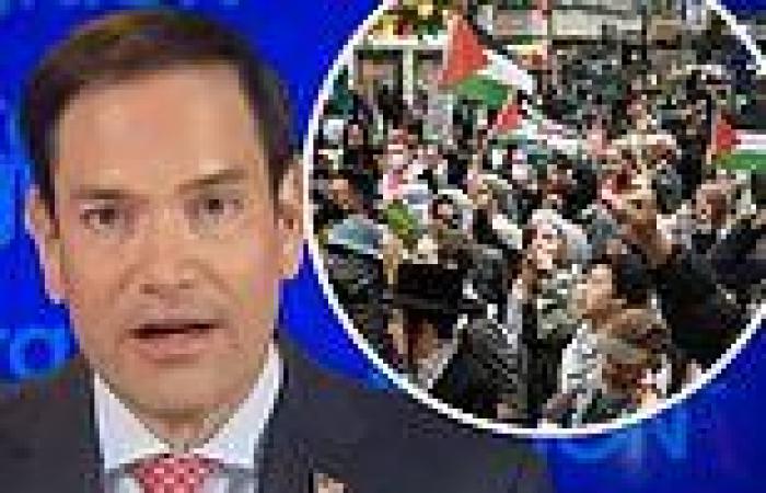 Sen. Marco Rubio accuses Biden of trying to appeal to 'anti-semites' by ... trends now