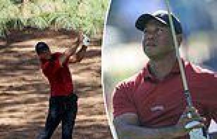 sport news Tiger Woods BOMBS his 100th round at Augusta National as golf legend scores ... trends now