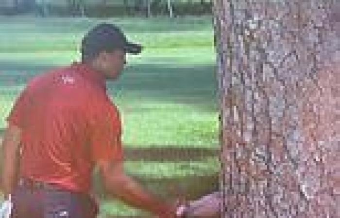 sport news Tiger Woods has golf fans in stitches with 'meme of the year' as he is ... trends now