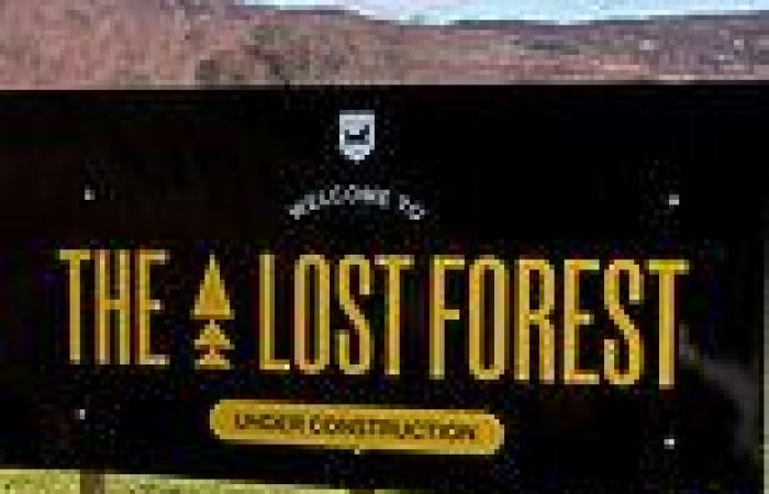 BrewDog reveals HALF of saplings planted for its million tree Lost Forest have ... trends now