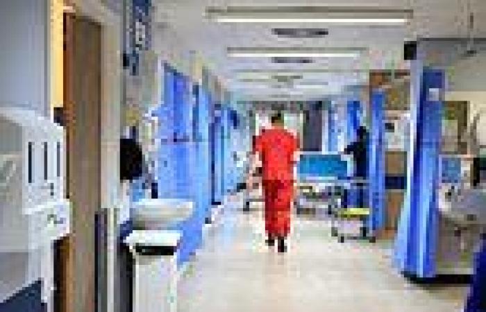NHS 'bed blocking' crisis laid bare: Up to one in THREE beds are taken up by ... trends now