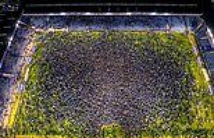 Portsmouth fans invade Fratton Park pitch after winning league title and ... trends now