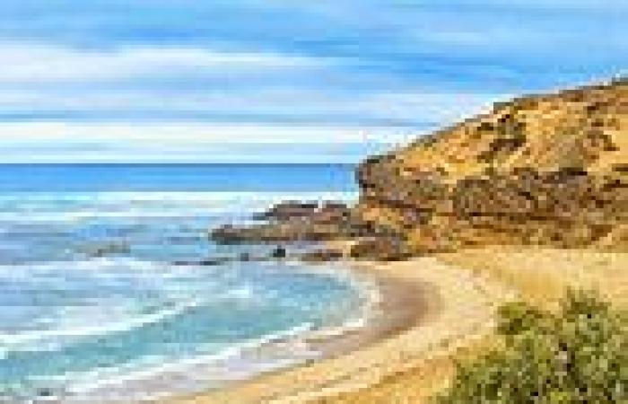 Mornington Peninsula: Tragic discovery made in search for snorkeller missing ... trends now