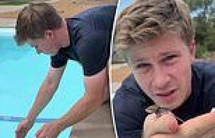 Robert to the rescue! I'm A Celebrity host Irwin saves a tiny mouse from ... trends now