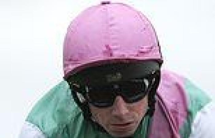 sport news Ryan Moore previews Chemistry and Greenland and his three other rides at the ... trends now