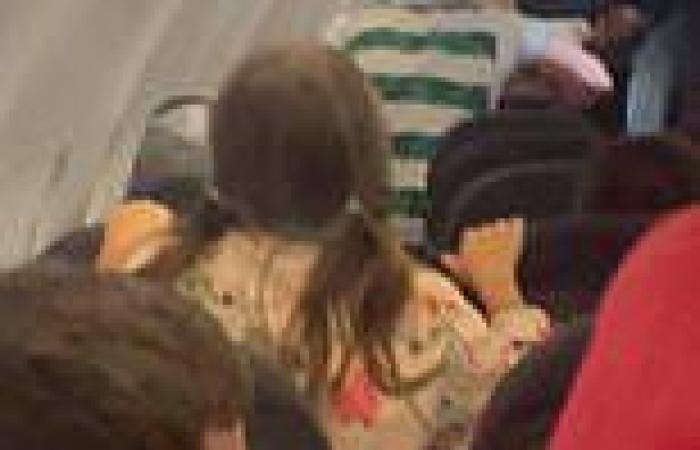 Moment 'drunk' Celtic fan punches police officers in shocking brawl on easyJet ... trends now