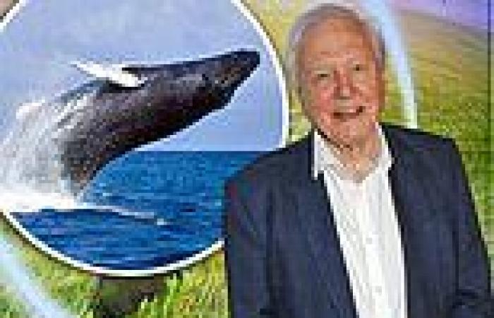 Sir David Attenborough is replaced as the Planet Earth narrator as BBC announce ... trends now