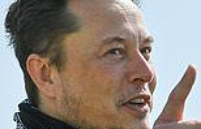Elon Musk, Australia's eSafety Commissioner: X owner takes another swipe at ... trends now