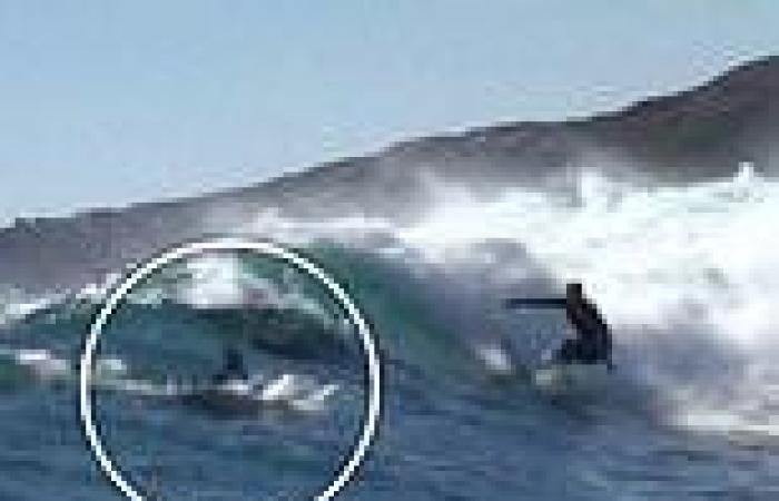 sport news Insane moment surfer Gabriela Bryan is stunned by 'crazy' sighting during ... trends now