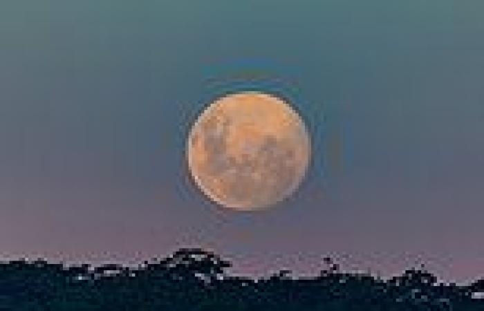 Look up tonight! Full Pink Moon peaks this evening as our entire lunar ... trends now