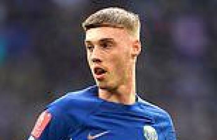 sport news Fans claim Cole Palmer should 'swap salaries' with his Chelsea team-mates - ... trends now