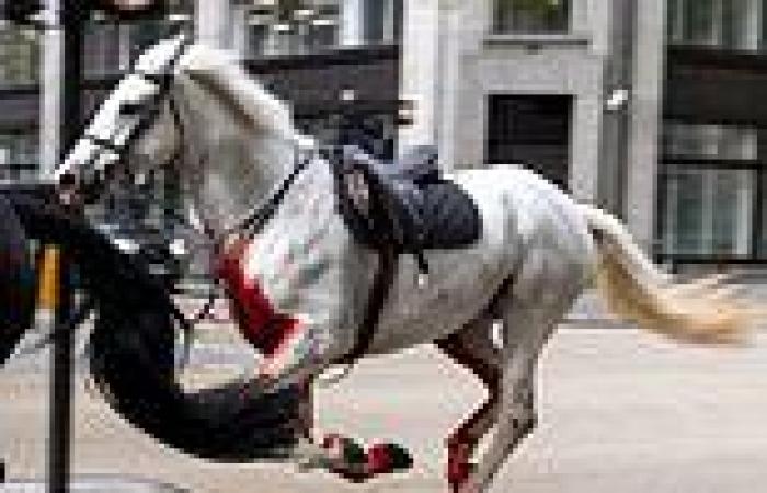 Four people in hospital after Household Cavalry horses bolted through London in ... trends now