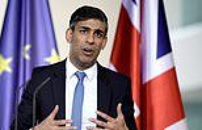 Rishi Sunak hints at election tax cuts as he says slashing civil service will ... trends now
