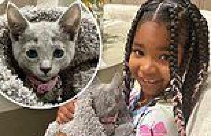 Khloe Kardashian surprises her daughter True, 6, with second cat as a ...