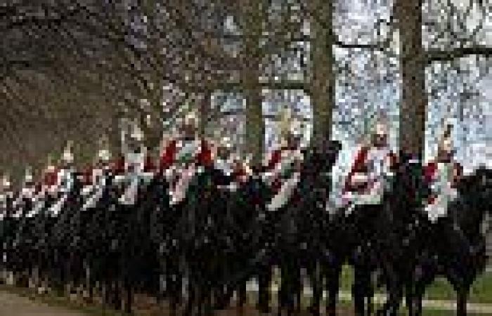 Household Cavalry horses that ran amok across London today are best known as ... trends now