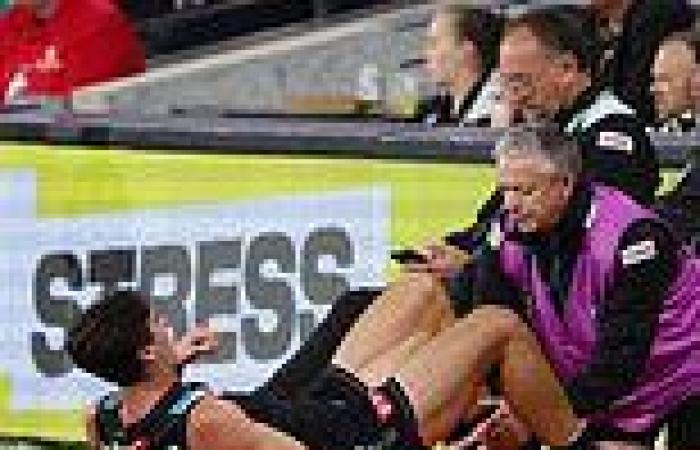 sport news Port Adelaide counts cost of bruising win over Saints as injury toll begins to ... trends now
