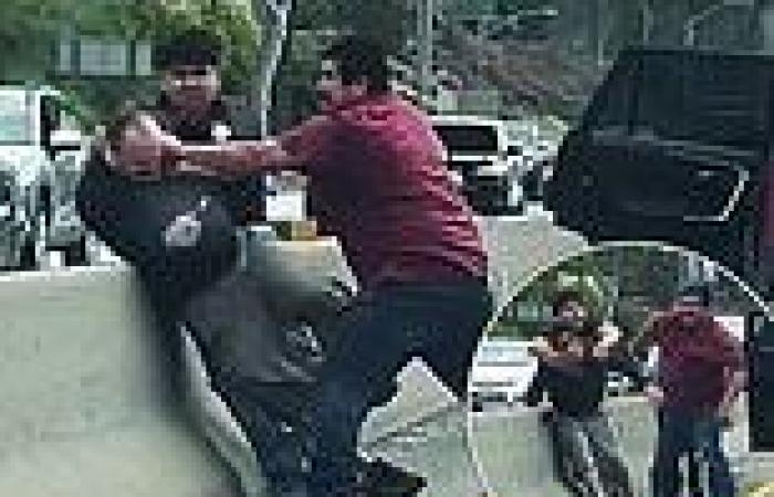 Shocking moment father and son brawl with middle-aged man after minor fender ... trends now