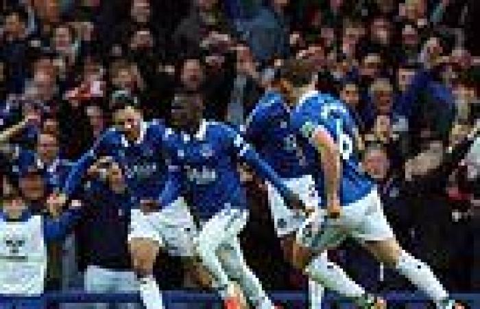 sport news Everton 1-0 Brentford: Idrissa Gueye goal seals Toffees' Premier League safety ... trends now