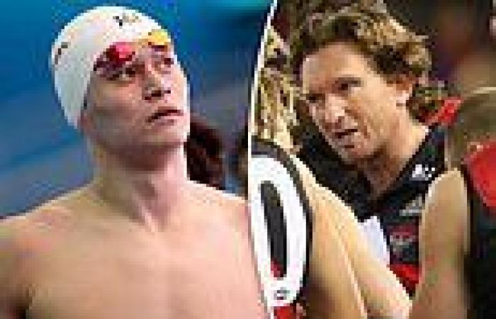 sport news James Hird's dad calls for independent review of Essendon drugs scandal in wake ... trends now