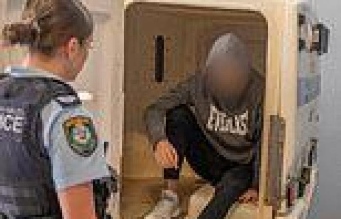 Inside the alleged terror plot teens planned to unleash on Sydney days after ... trends now