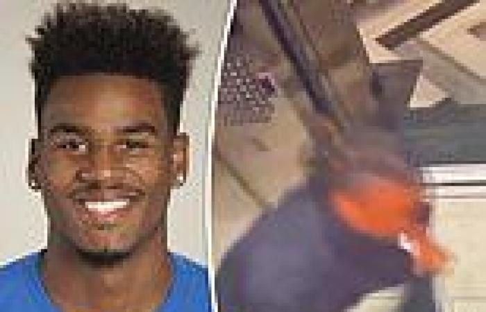 sport news Stefon Diggs' brother, Darez Diggs, gets two years of probation after ... trends now